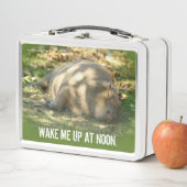 夏の太陽に浮かぶ、かわいいカピバラの夢 メタルランチボックス (インサイチュ)