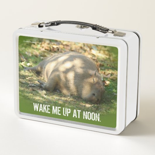 夏の太陽に浮かぶ、かわいいカピバラの夢 メタルランチボックス (裏面)