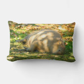 夏の太陽に浮かぶ、かわいいカピバラの夢 ランバークッション (正面)