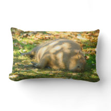 夏の太陽に浮かぶ、かわいいカピバラの夢