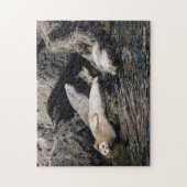 夏の太陽に輝くアザラシ港 ジグソーパズル (縦)