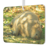 夏の太陽に輝くカピバラの夢 カーエアーフレッシュナー (左)