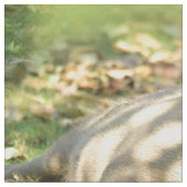 夏の太陽に輝くカピバラの夢 ファブリック (クローズアップ)