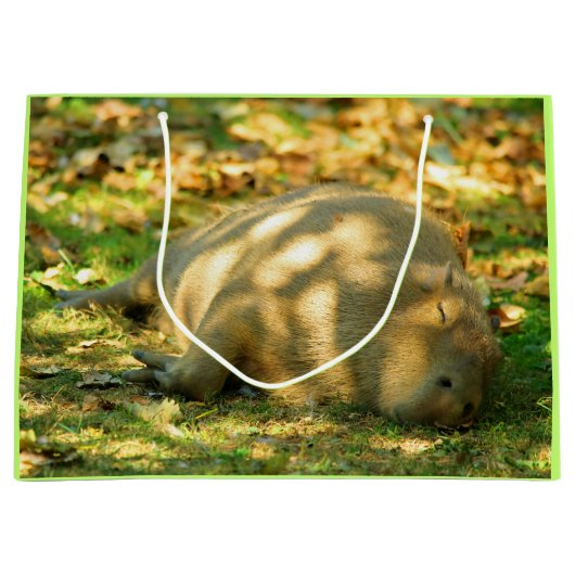 夏の太陽に輝くカピバラの夢 ラージペーパーバッグ (正面)