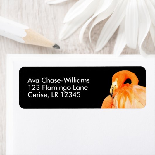 夏の太陽のフラミンゴ ラベル (インサイチュ)