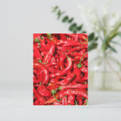 夏の太陽のホットレッドチリアウトドア ポストカード (スタンド正面)