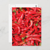 夏の太陽のホットレッドチリアウトドア ポストカード (正面/裏面)