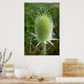 夏の太陽の中のアザミ ポスター (キッチン)