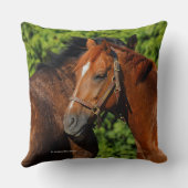 夏の太陽の美しい栗の馬 クッション (裏面)