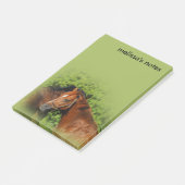 夏の太陽の美しい栗の馬 ポストイット (アングル)