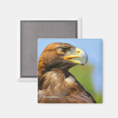 夏の太陽の黄金の鷲のプロフィール マグネット (正面/裏面)