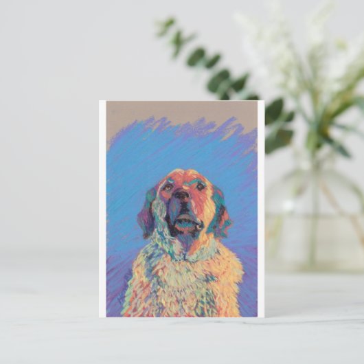 夏の太陽 ポストカード (スタンド正面)