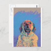 夏の太陽 ポストカード (正面/裏面)