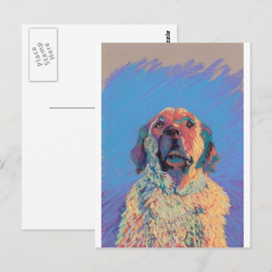 夏の太陽 ポストカード (正面/裏面)