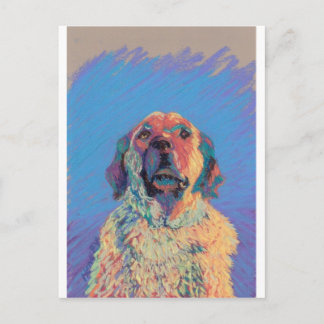 夏の太陽 ポストカード