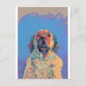 夏の太陽 ポストカード (正面)