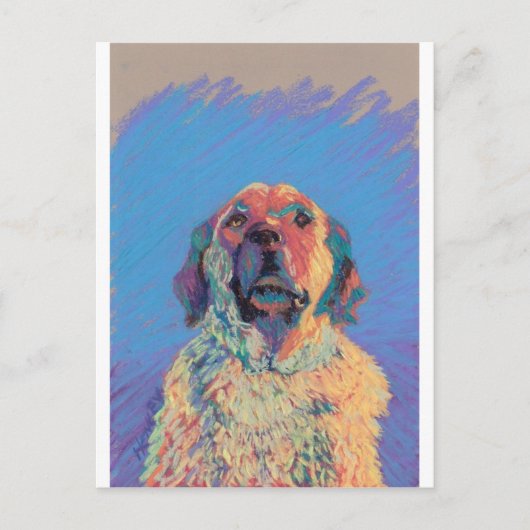 夏の太陽 ポストカード (正面)