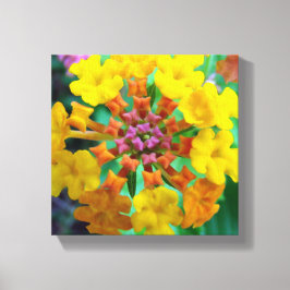 夏の宝石 キャンバスプリント