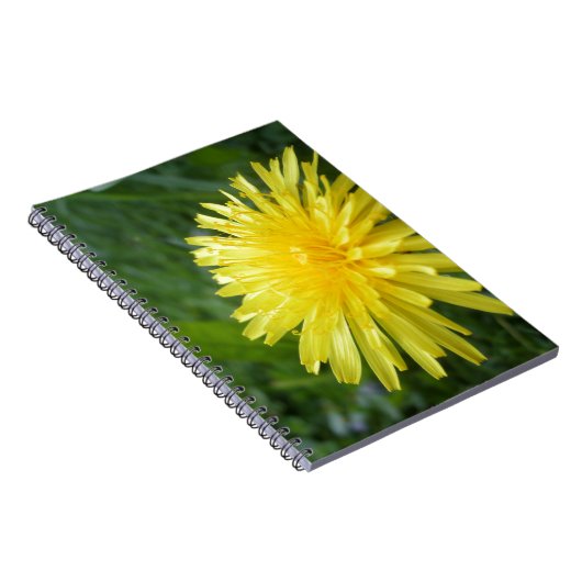 夏の宝石 ノートブック (右側)