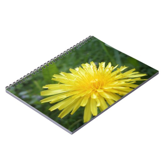 夏の宝石 ノートブック (左側)