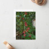 夏の小さな開花つる植物 ノートカード (正面/裏面インサイチュ)