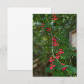 夏の小さな開花つる植物 ノートカード (正面/裏面)