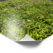 夏の山 フォトプリント            (角)