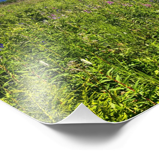 夏の山 フォトプリント            (角)