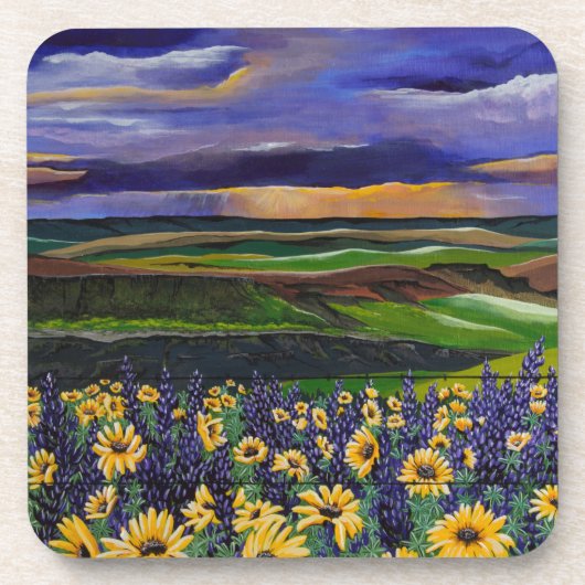 夏の嵐 コースター (正面)