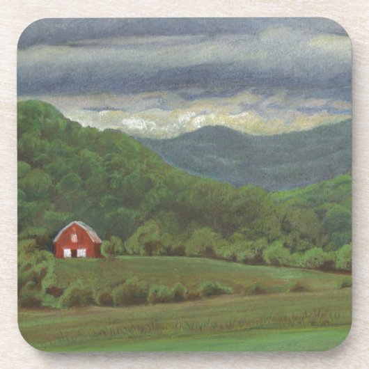 夏の嵐 コースター (正面)