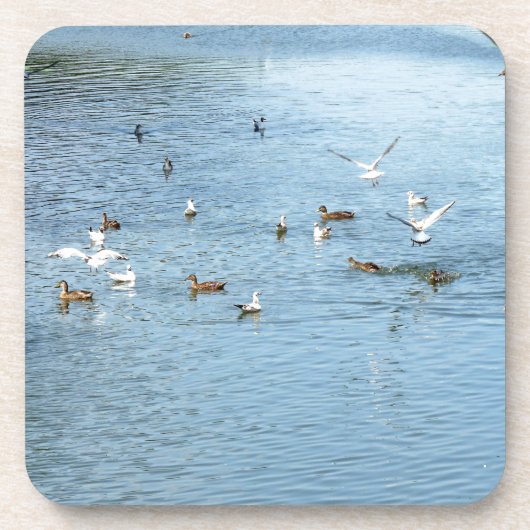夏の川の鳥 コースター (正面)