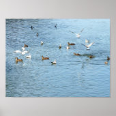 夏の川の鳥 ポスター (正面)