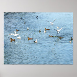 夏の川の鳥 ポスター