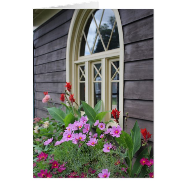 夏の庭のグリーティングカード (正面)