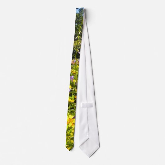 夏の庭のネクタイ ネクタイ (裏面)