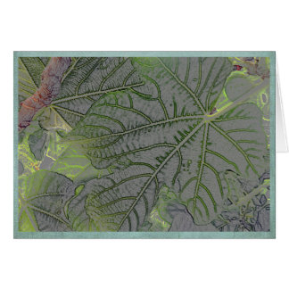 夏の庭のバックリットの葉