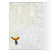 夏の庭の油濁蝶 (内側 (左))