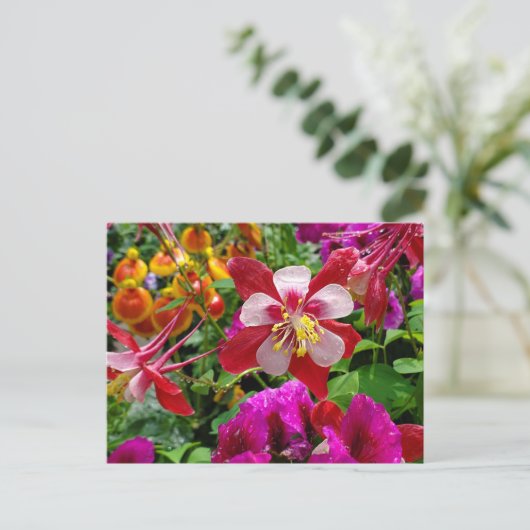 夏の庭はがき ポストカード (スタンド正面)