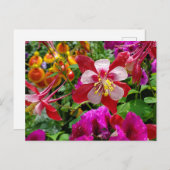 夏の庭はがき ポストカード (正面/裏面)