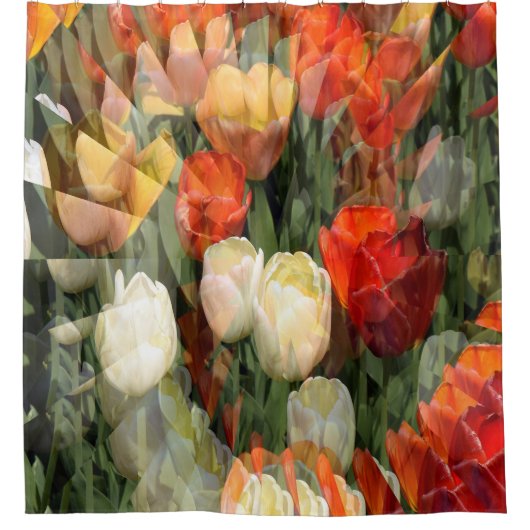 夏の庭…..... シャワーカーテン (正面)