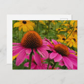 夏の庭 ポストカード (正面/裏面)