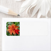 夏の庭 ラベル (インサイチュ)