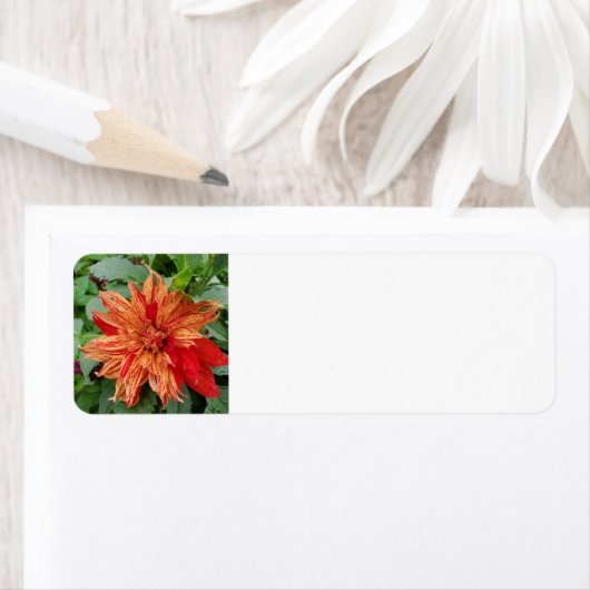 夏の庭 ラベル (インサイチュ)