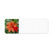 夏の庭 ラベル (正面)