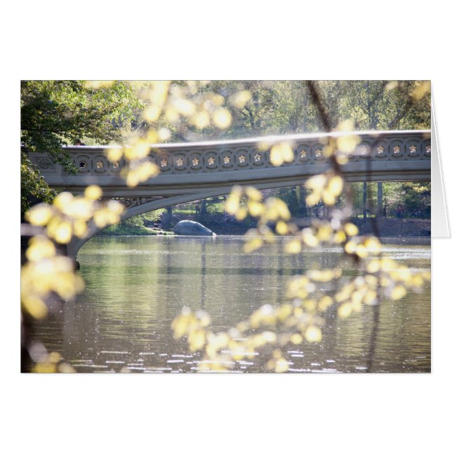 夏の弓橋 (正面横)