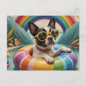 夏の日に浮かぶボストンテリア ポストカード (正面)