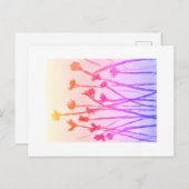 夏の日はがき ポストカード (正面/裏面)