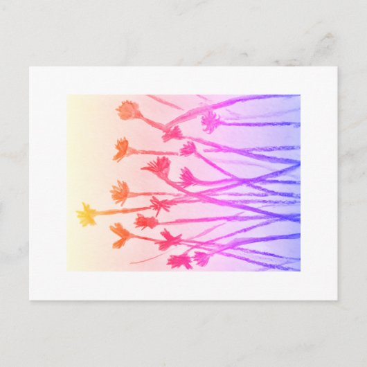 夏の日はがき ポストカード (正面)