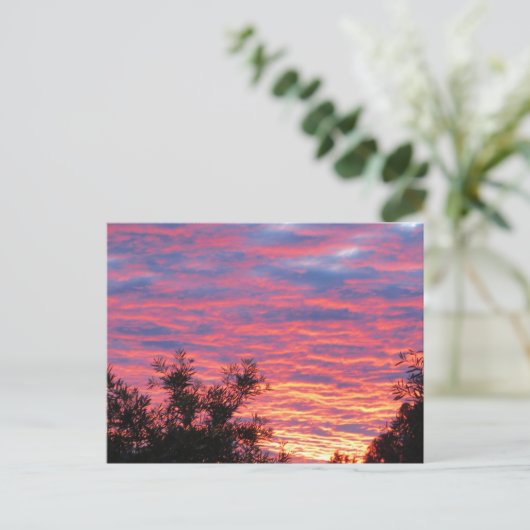 夏の日没 ポストカード (スタンド正面)