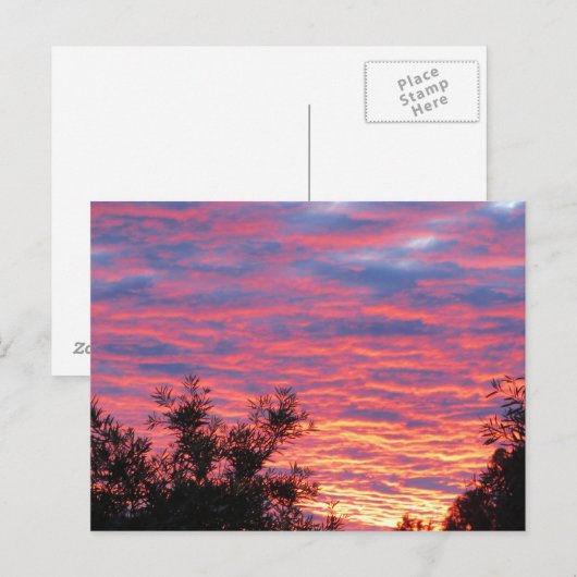夏の日没 ポストカード (正面/裏面)